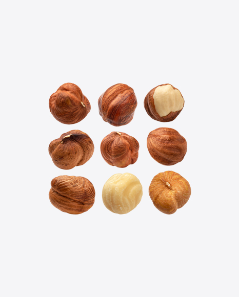 Hazelnuts Set PNG