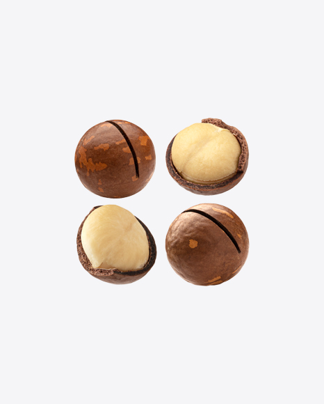 Macadamia Nuts Set PNG