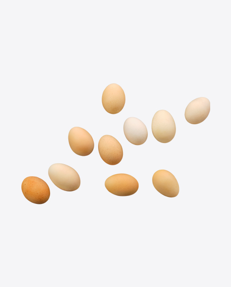Chicken Eggs PNG
