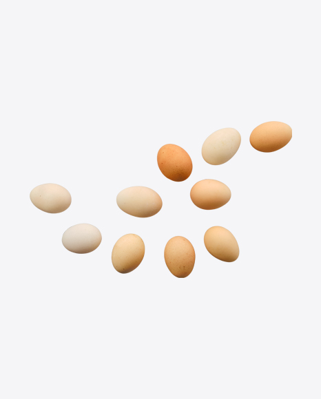 Chicken Eggs PNG