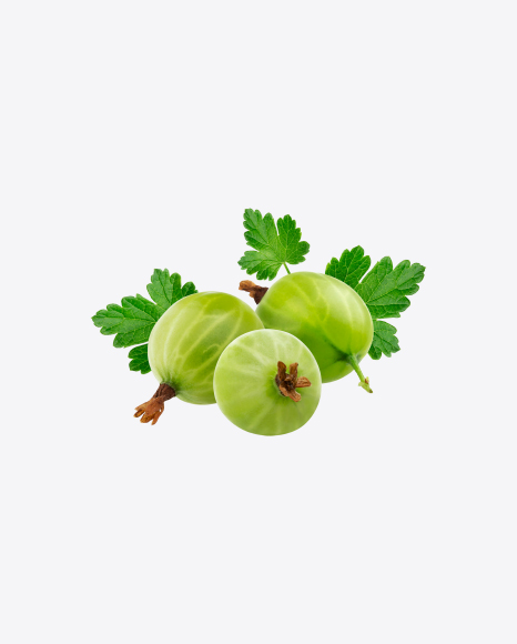 Gooseberries w/ Leaves PNG