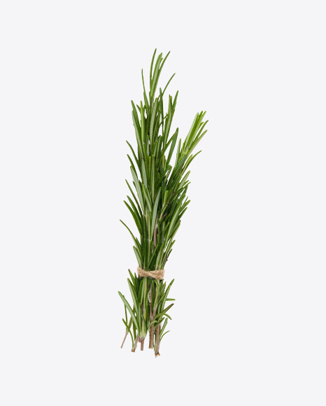 Rosemary Branches
