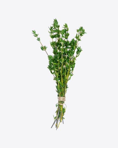 Thyme Branches PNG