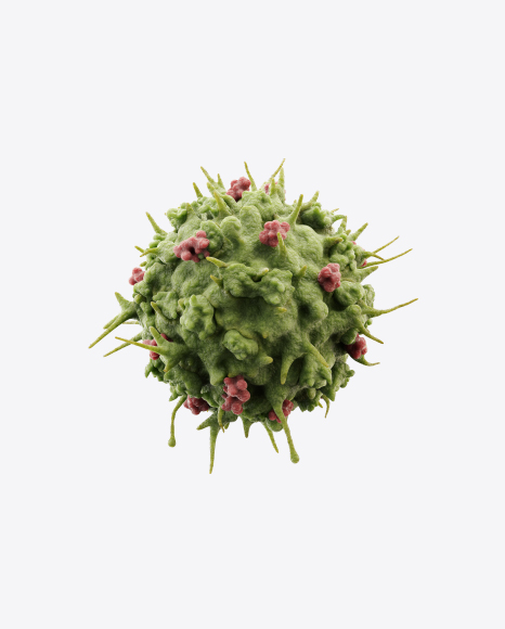 Bacteria