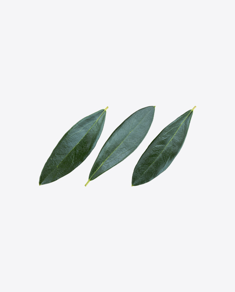 Green Plant Leaves
