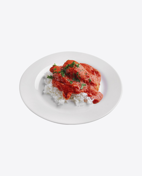 Meat Ball in Tomato Sauce w/ Rice