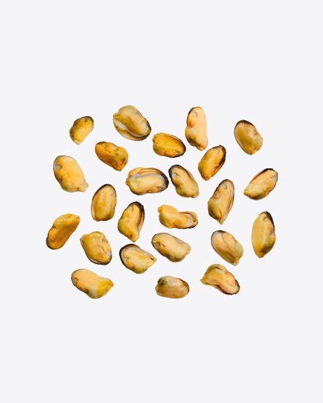 Mussels