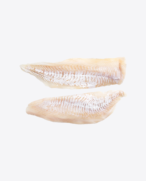 Raw Fish Fillet