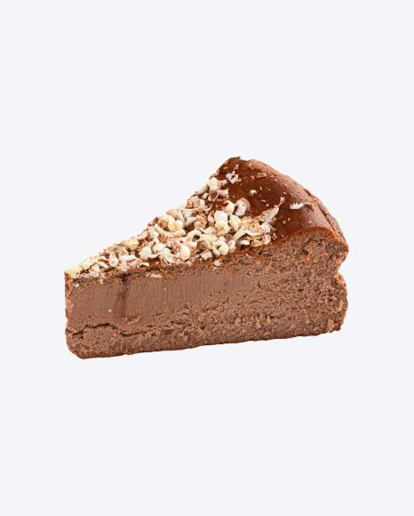 Chocolate Cake Slice