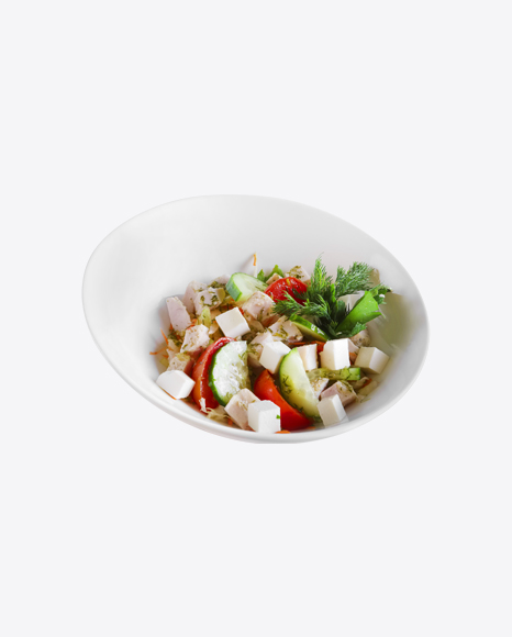 Fresh Salad w/ Chicken & Cheese