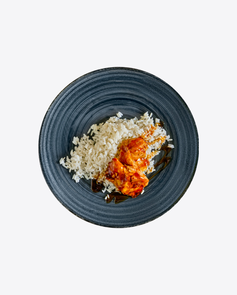 Rice w/ Teriyaki Chicken