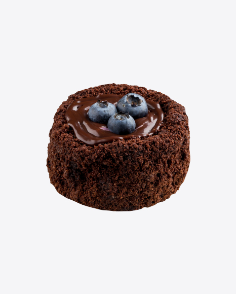 Chocolate Mini Cake w/ Blueberries PNG