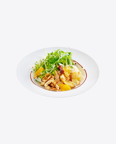 Chicken Salad w/ Orange Slices & Arugula Leaves