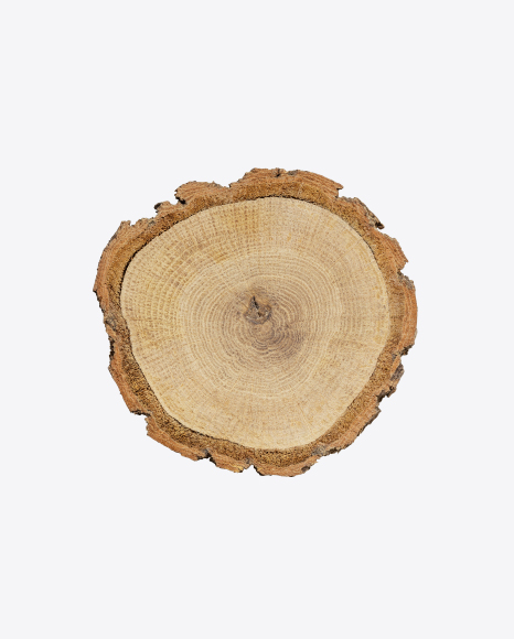 Wood Slice PNG