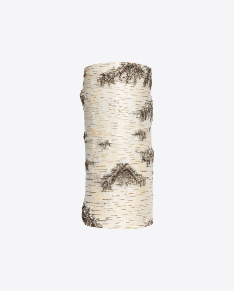 Birch Stump PNG