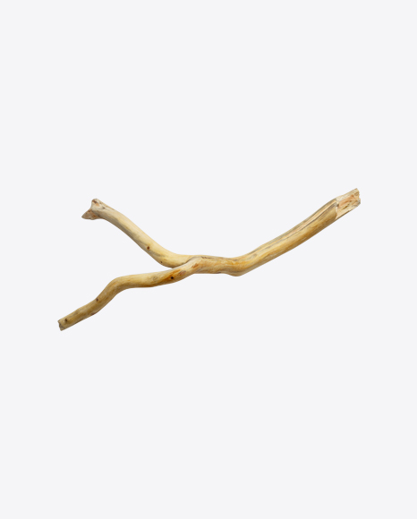 Wooden Snag PNG