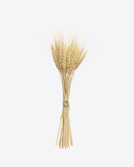 Rye Ears Bunch PNG