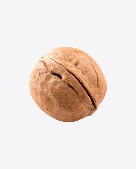 Walnut In Shell