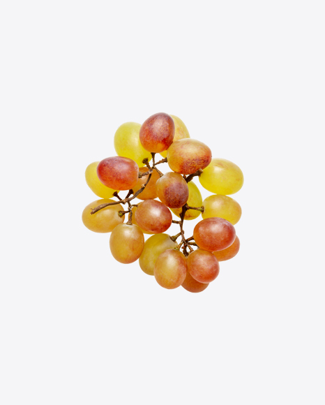 Grape Branch PNG