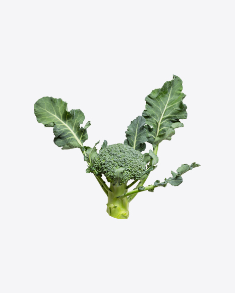 Broccoli PNG
