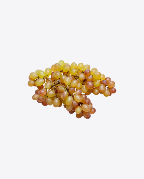 Grape Branch PNG