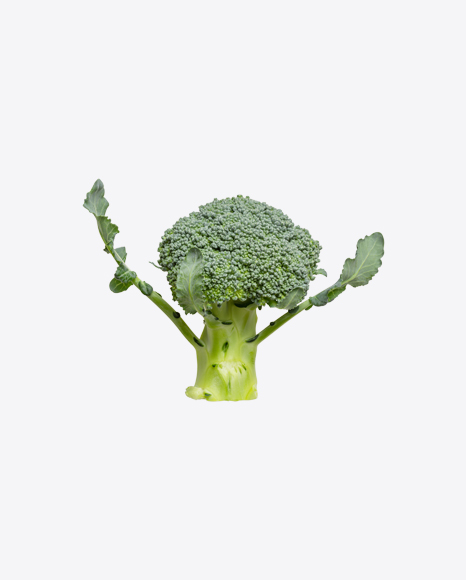 Broccoli PNG