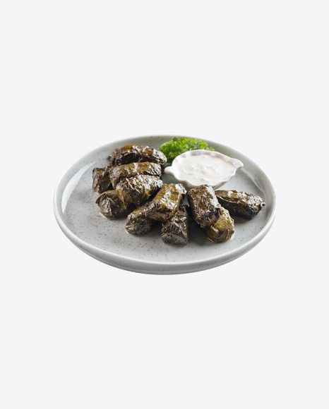 Dolma on Plate w/ Sauce