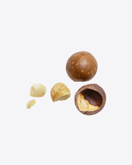 Macadamia Nuts PNG