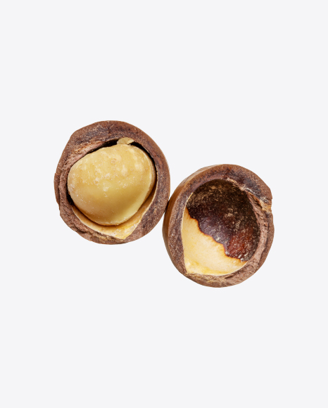 Macadamia Nuts PNG