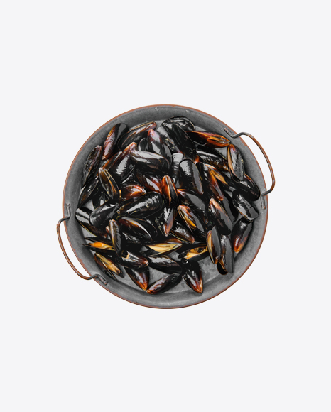 Bucket of Mussels PNG