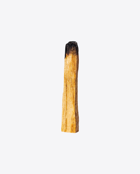 Palo Santo Stick PNG