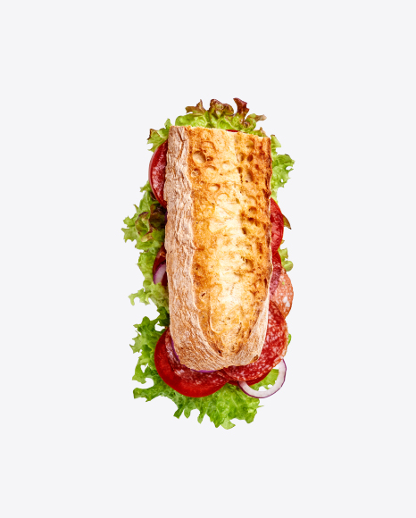 Sandwich w/ Salami & Vegetables