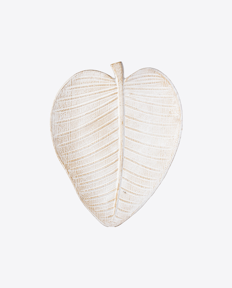 White Leaf-Shaped Plate PNG