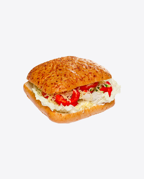 Vegetarian Burger w/ Bell Pepper, Cabbage & Cheese