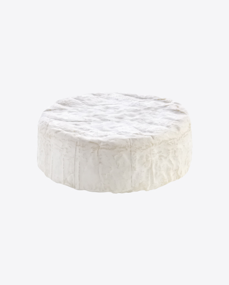 Camembert Cheese Block