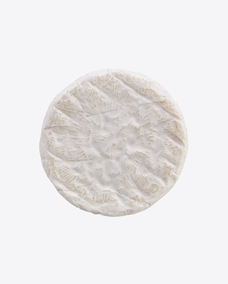 Camembert Cheese Block