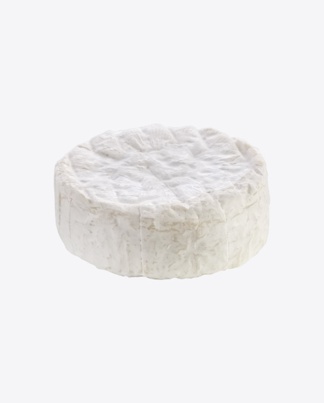 Camembert Cheese Block