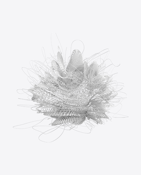 Abstract Form