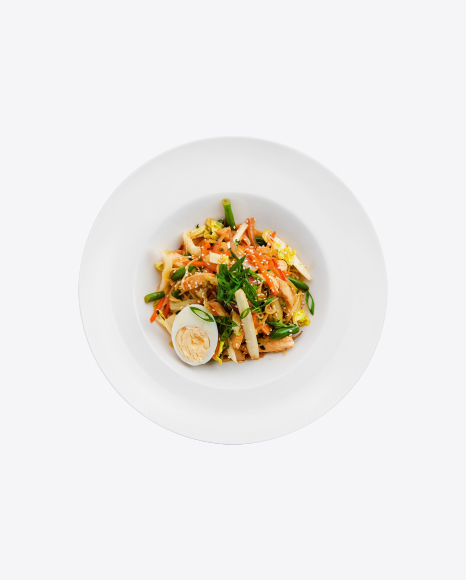 Udon Noodles w/ Chicken & Vegetables