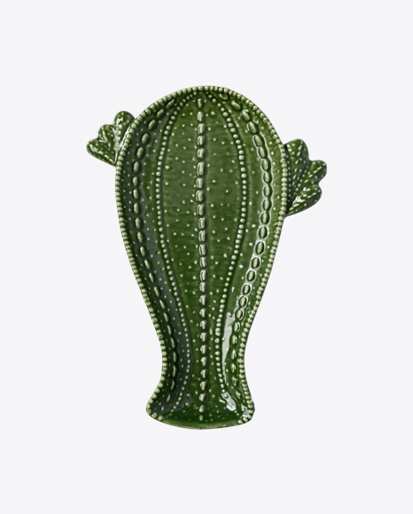 Cactus-Shaped Tray PNG