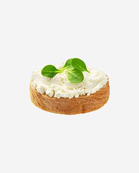 Bread Slice w/ Cottage Cheese