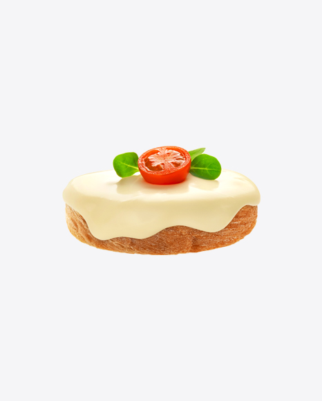 Bread Slice w/ Melted Cheese