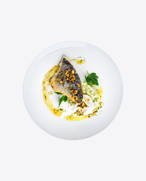 Grilled Fish Fillet