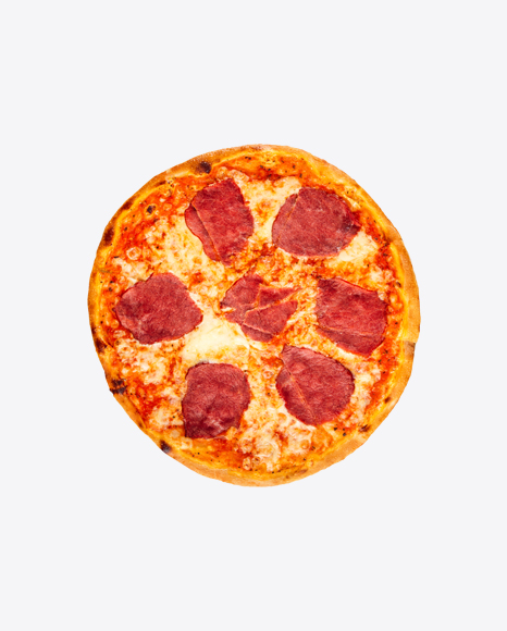 Pizza w/ Ham and Cheese