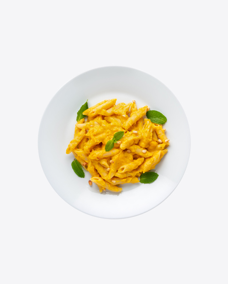 Penne Pasta w/ Cheese
