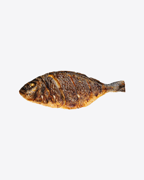 Grilled Dorada Fish