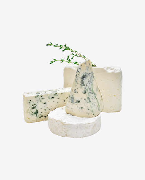 Assortment of Blue Mold Cheese