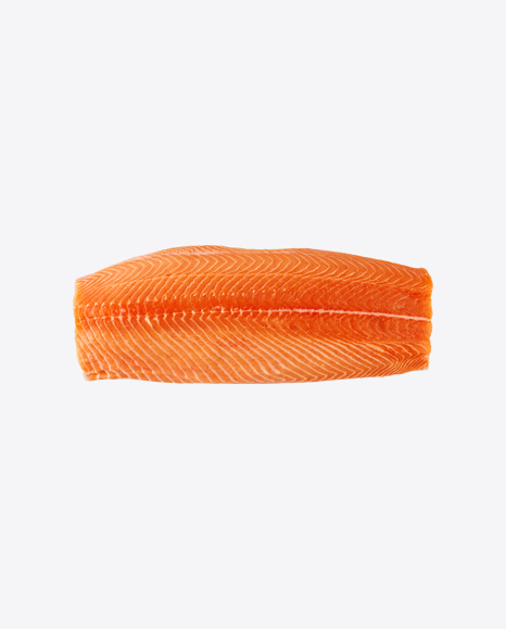 Salmon Fillet Piece