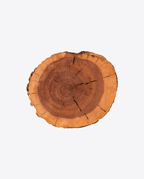 Pine Wood Slice