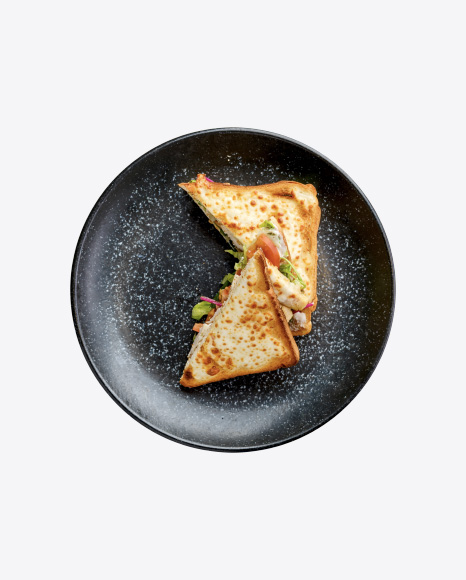 Chicken Sandwich w/ Tomato & Cheese